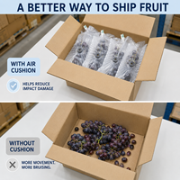 Contenedor Apilable Tipo Bolsa para Almacenamiento de Uvas, Eficiente, Inflable, de Película de PE, Diseño que Ahorra Espacio, Optimización de Almacenamiento