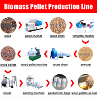Ligne de production complète de granulés de bois biomasse avec moteur, machine à granulés de paille automatique certifiée CE, prix compétitif