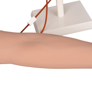 Braccio di allenamento per iniezione <span class=keywords><strong>IV</strong></span> in Silicone a basso costo con nuovi strumenti per infusione - Product Image 6