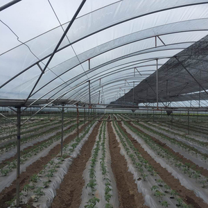 Hot Selling Mikron Kunststoff Gewächshaus Abdeck folie für landwirtschaft liche Zwecke - Product Image 1