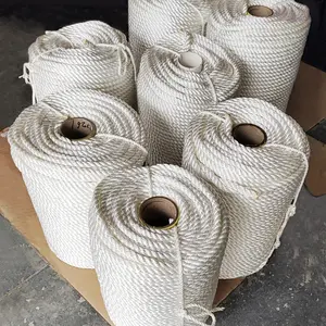Twisted Nylon Polyester 12mm 30mm 8mm 10mm Danline Nylon Rope for other Marine Use