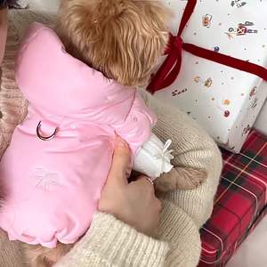 Adorable ikatan simpul cetak katun hewan peliharaan mantel tanpa lengan musim gugur musim dingin anjing menebal pakaian - Product Image 4