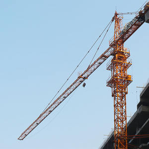 Gru a torre di nuova costruzione 10ton gru a torre ad alta efficienza operativa applicabile per la vendita - Product Image 6