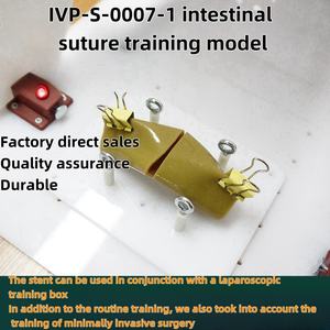 คลิปหนีบขดลวดสำหรับนักเรียนทางการแพทย์ช่วยสอนวิทยาศาสตร์ทางการแพทย์แบบจำลองการเย็บลำไส้ - Product Image 4