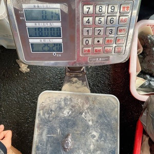 Wholesale Natural <strong>Moss</strong> Agate Dinosaur Carving Crystal Quartz Dinosaur Craft <strong>for</strong> Decoration - Product Image 6