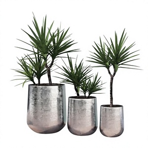 Maceta de Metal de Diseño Moderno para Decoración del Hogar, Maceta Personalizada para Plantas de Jardín - Product Image 2