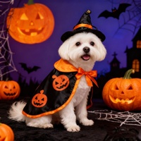 Costume d'Halloween pour animaux de compagnie : Cape et chapeau pour chien, motif citrouille, toutes saisons, style européen-américain, vêtements de transformation pour petits et moyens chiens