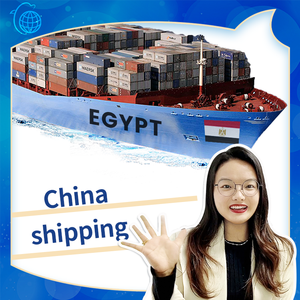 Cina DDP spedizioniere per trasporto marittimo aereo in <span class=keywords><strong>egitto</strong></span> LCL Express Drop Shipping prodotti - Product Image 6