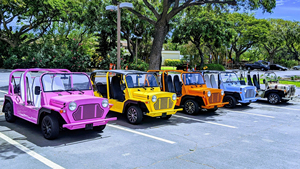 Elektrische <span class=keywords><strong>Mini</strong></span> Moke Elektrische Auto <span class=keywords><strong>jeep</strong></span> 4 Zits 4x4 Moke Golfkar - Product Image 5