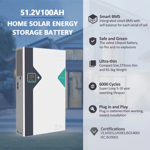 Sistema de Almacenamiento de Energía <span class=keywords><strong>Solar</strong></span> y para el Hogar Todo en Uno, Batería de Litio LiFePO4 de 48V 100Ah, 51.2V 5kWh, Controlador MPPT de Onda Sinusoidal Pura - Product Image 4