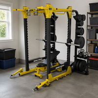 Rack de musculation commercial robuste avec rangement pour plaques, idéal pour l'entraînement en force en salle de sport