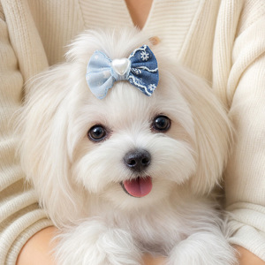 Fournitures pour animaux de compagnie, chiots de petite taille, animaux mignons, photos de style urbain, dessin animé, adorable, denim, nœud, pinces BB, accessoires, cheveux - Product Image 2