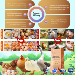 SUSTAR Cheap and High Quality Poultry <strong>Feed</strong> Premix with Organic Trace Elements <strong>Chicken</strong> <strong>Feeds</strong> for Broilers - Product Image 4