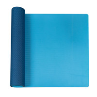 Sansd Prix du fabricant compétitif Logo personnalisé écologique antidérapant antistatique Oem/Odm Bady Fit Tapis de yoga pour l'exercice