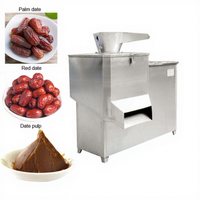 RVS gemotoriseerde dadelpasta- en pulpmachine 380V 250-500kg/u capaciteit CE/ISO gecertificeerd