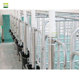 Domuz Gestation kasalar kalem kolay kurulum Sow Gestation durak 70cm genişlik Sow gebelik kafesi - Product Image 5
