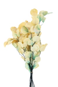 Conservato fiore eterno foglia di mela foglia di eucalipto Bouquet decorazione per la casa per eterno tocco naturale di lunga durata 3-5 anni - Product Image 6