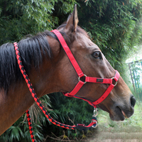 Bride colorée d'équipement de cheval de course en nylon de la meilleure qualité à vendre