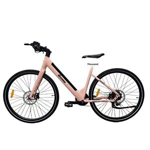 Bicicleta Eléctrica con Motor Trasero sin Escobillas, Batería de Litio de 48V 10ah, Ruedas de 26 Pulgadas, Modelo L3, Actividad de Promoción - Product Image 4