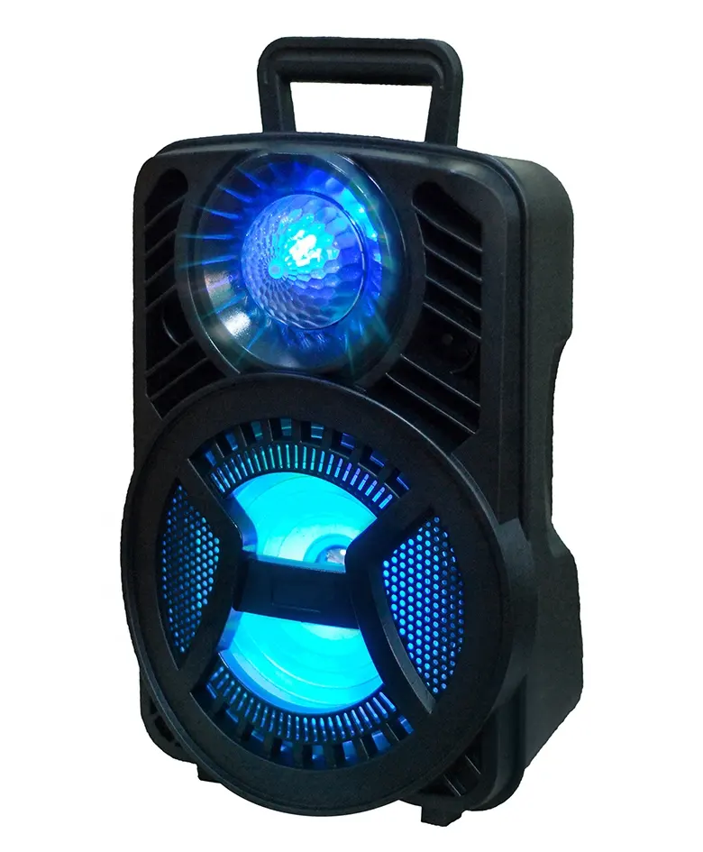 Disco Light Portable Speaker for Outdoor Karaoke Party with Microphone and Battery FM USB TF LED Light