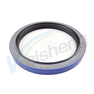 WS-Con dấu <span class=keywords><strong>stefa</strong></span> hệ thống 500/3000/5000 125*160*17 Mê Cung loại con dấu cassete con dấu dầu cho daf - Product Image 1