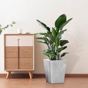 <span class=keywords><strong>Maceta</strong></span> Moderna Minimalista Nórdica Creativa <span class=keywords><strong>Cuadrada</strong></span> Trapezoidal Resistente a la Corrosión Pintada con Spray para Plantas Suculentas - Product Image 3