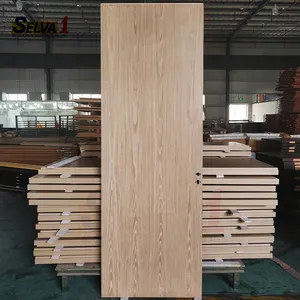 Chất lượng cao Thiết kế hiện đại melamine sơn miễn phí Trắng tuôn ra nội thất bằng gỗ cửa cho ngôi nhà và văn phòng