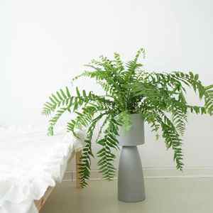 Kit de maceta alta minimalista simple, maceta redonda mate <span class=keywords><strong>para</strong></span> el hogar, sala de estar, balcón, decoración de jardín, Kit de plantación al por mayor - Product Image 3