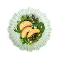 Assiette à salade en mélamine Cabana Stripe Ensemble assortis d'assiettes à dîner en mélamine