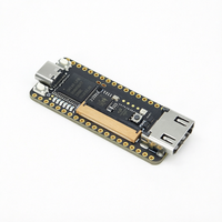 En STOCK Carte de développement FPGA Sipeed Tang Nano 20K avec système d'exploitation Linux et interface USB