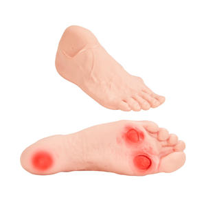 Model Pelatihan Perawatan Kaki Glycuresis Ilmu Kedokteran Model Kaki Manusia Penyakit Diabetes Kaki - Product Image 3