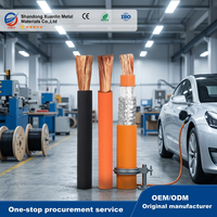 EVRP Abgeschirmtes Kabel für Elektrofahrzeuge, Hochspannungskabel für Automobile 2,5mm²-150mm², Störungsfrei