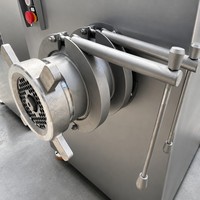Multifunctionele automatische industriële worstmachine voor diepvriesvlees