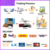 Servicio DDP, Envío Aéreo+Express DHL UPS, Agente de Entrega a Domicilio, Transitario con Impuestos Incluidos, Tarifas de Flete Competitivas