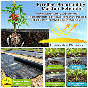 Toile de paillage agricole biodégradable en polypropylène, barrière anti-<span class=keywords><strong>mauvaises</strong></span> <span class=keywords><strong>herbes</strong></span>, tissu paysager non tissé noir pour empêcher la croissance de l'herbe - Product Image 3