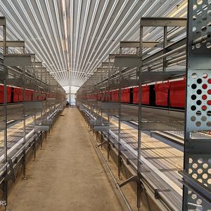 Aviarios huevo automático Casa de pollo grande caja nido bienestar jaulas de rango libre equipo de cría de aves de corral aviario gallina puesta - Product Image 4