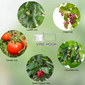 Kit <span class=keywords><strong>de</strong></span> treillis suspendu pour plantes grimpantes en <span class=keywords><strong>serre</strong></span>, avec crochet à rouleau pour tomates et 30 m <span class=keywords><strong>de</strong></span> ficelle pour le soutien des plantes <span class=keywords><strong>de</strong></span> <span class=keywords><strong>jardin</strong></span> - Product Image 4