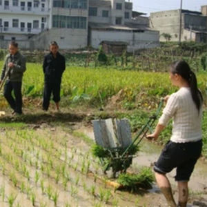 Ручная двухрядная пересадочная машина профессиональная фабрика 2-рядная пересадка риса - Product Image 2