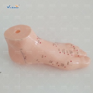 एक्यूपंक्चर हाथ पैर कान के फुट मॉडल 13 सेमी फुट एक्यूपंक्चर मॉडल मालिश एक्यूपंक्चर उत्तेजक प्रशिक्षण - Product Image 5