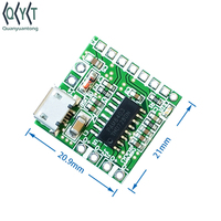 Carte amplificateur PAM8403, Bluetooth PAM8403, carte amplificateur numérique miniature de classe D PAM 8403, prise en charge du module audio
