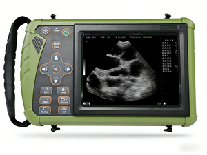 Veterinary Ultrasound System HFS0 Features Touch-sensitive <b>Buttons</b> With a Reasonable Layout for Simple and Easy Operation. The S - Product Image 1