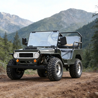 Mini UTV RC Factory de 125cc, 3 velocidades, reversa, 2 plazas, 2WD, con certificación CE, motor híbrido de 150-250HP, batería de plomo-ácido, color personalizado