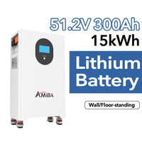 Batterie murale LiFePO4 Slim 16 kWh 51,2 V pour système de stockage d'énergie domestique mural, batterie lithium pour sauvegarde solaire