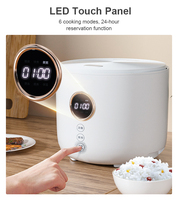 Petit appareil de cuisine 2L, cuiseur à riz électrique 600W avec préréglage 24H et commande tactile intelligente