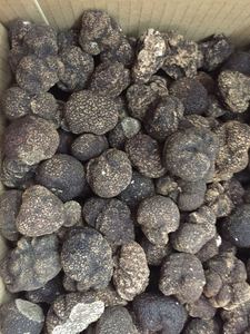 DETAN 2023-2024 Nueva temporada Trufas negras frescas de invierno chino salvaje <span class=keywords><strong>Precio</strong></span> de exportación - Product Image 4