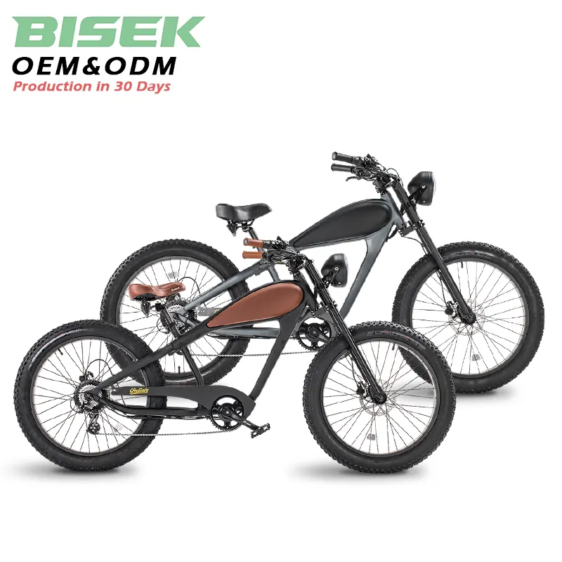 OEM 48v750wユニークなレトロ電動自転車ヴィンテージ安い電動自転車レトロファットタイヤ電動自転車自転車eバイク