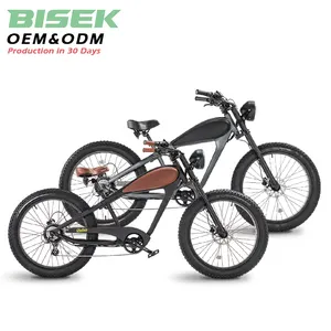 OEM 48v 750w独特复古电动自行车复古廉价电动自行车复古胖轮胎电动自行车