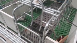 Gabbie per allevamento da allevamento personalizzate per casse di gestazione di suini gabbie per allevamento di suini - Product Image 6