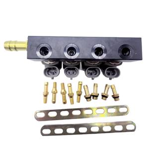 Modifica da Olio a Gas per Auto LPG/CNG Diesel, Barra Spray DIGI Grigia <span class=keywords><strong>2</strong></span> Ohm, Ricambi Auto - Product Image 5