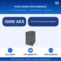 Speaker Hiburan HKNC HK-GS2B10 10 Inch 300W 8 Ohm Sistem Suara untuk Gereja, Ruang Rapat, dan Sistem PA